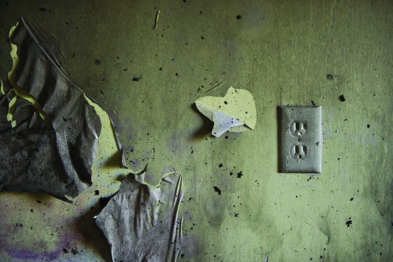 Mold Growth in the home